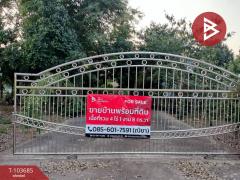 ขายบ้านเดี่ยวพร้อมที่ดิน เนื้อที่ 4 ไร่ 1 งาน 8 ตร.วา บ้านกร่าง พิษณุโลก-202501271445101737963910747.jpg
