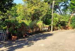 ขายที่ดิน หมู่บ้านธารารมณ์ ซอยรามคําแหง 150 เขตสะพานสูง กรุงเทพมหานคร-202501281045241738035924375.jpg