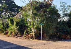 ขายที่ดิน หมู่บ้านธารารมณ์ ซอยรามคําแหง 150 เขตสะพานสูง กรุงเทพมหานคร-202501281045251738035925777.jpg