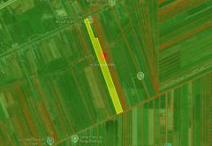 ขายที่ดิน 79-2-2 ไร่ ถ.หน้า อบต.ข้าวงาม ติดที่ทำการ อบต. ข้าวงาม (อยุธยา)-202501281540491738053649270.jpg