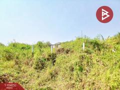 ขายที่ดินด่วน เนื้อที่ 2 งาน 86 ตร.วา หนองแขม กรุงเทพมหานคร-202501281708571738058937802.jpg