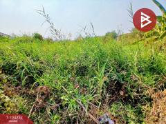 ขายที่ดินด่วน เนื้อที่ 2 งาน 86 ตร.วา หนองแขม กรุงเทพมหานคร-202501281708581738058938574.jpg