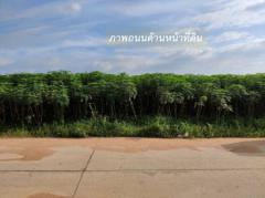 ขายที่ดิน EEC สร้างคลังสินค้าและโกดัง ถนน 3574 จ.ระยอง (ใกล้ นิคมอุตสาหกรรมอีสเทิร์นซีบอร์ด) 103-0-39 ไร่ หน้ากว้าง 300 m. ขนาดถนน 8-10 m.-202501291000421738119642842.jpg