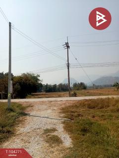 ขายที่ดิน เนื้อที่ 28 ไร่ 1 งาน 90 ตร.วา โกรกพระ นครสวรรค์-202501291130101738125010387.jpg