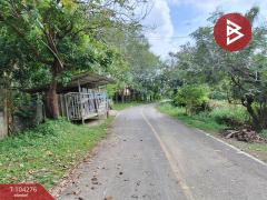 ขายที่ดินพร้อมสวนผลไม้ เนื้อที่ 16 ไร่ 3 งาน 40 ตร.วาพระพรหม นครศรีธรรมราช-202501291157011738126621098.jpg