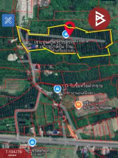 ขายที่ดินพร้อมสวนผลไม้ เนื้อที่ 16 ไร่ 3 งาน 40 ตร.วาพระพรหม นครศรีธรรมราช-202501291157021738126622209.jpg
