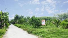 ขาย ที่ดิน ทำบ้านสวน อ.พรหมคีรีที่ดิน 5 ไร่ 2 งาน 80.6 ตร.วา มีบ้าน เงาะ มังคุด มะนาว บ่อบาดาล2จุด