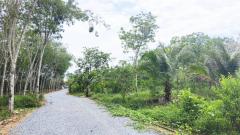 ขาย ที่ดิน ทำบ้านสวน อ.พรหมคีรีที่ดิน 5 ไร่ 2 งาน 80.6 ตร.วา มีบ้าน เงาะ มังคุด มะนาว บ่อบาดาล2จุด-202501291211221738127482622.jpg