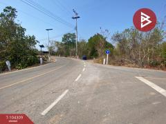 ขายที่ดิน เนื้อ 41 ไร่ 83 ตร.วา บางกะจะ จันทบุรี-202501291706021738145162637.jpg