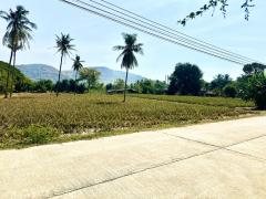 ขายที่ดิน ใกล้ทะเล  ติดถนนสองด้าน เนื้อที่ 6-3-51.3  ไร่ นาห้วย ต.ปราณบุรี อ.ปราณบุรี จ.ประจวบคีรีขันธ์-202501292125041738160704183.jpg