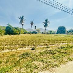ขายที่ดิน ใกล้ทะเล  ติดถนนสองด้าน เนื้อที่ 6-3-51.3  ไร่ นาห้วย ต.ปราณบุรี อ.ปราณบุรี จ.ประจวบคีรีขันธ์