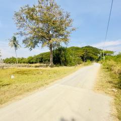 ขายที่ดิน ใกล้ทะเล  ติดถนนสองด้าน เนื้อที่ 6-3-51.3  ไร่ นาห้วย ต.ปราณบุรี อ.ปราณบุรี จ.ประจวบคีรีขันธ์-202501292125081738160708567.jpg