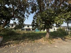 ขายที่ดิน ซอยบงกช48 ธัญบุรี คลองสอง (รหัสทรัพย์ 202526)  ต.คลองสอง อ.คลองหลวง จ.ปทุมธานี ขนาด 66.20 ตรว.-202501300307091738181229178.jpg