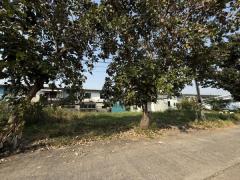 ขายที่ดิน ซอยบงกช48 ธัญบุรี คลองสอง (รหัสทรัพย์ 202526)  ต.คลองสอง อ.คลองหลวง จ.ปทุมธานี ขนาด 66.20 ตรว.-202501300307091738181229901.jpg