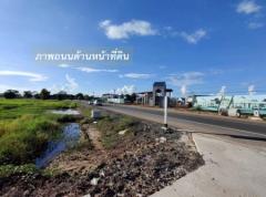 ขายที่ดิน อำเภอเมืองบุรีรัมย์ 400 ไร่ เหมาะทำโครงการ จัดสรร หน้ากว้างติดถนน 80 m. เขตชุมชน ใกล้ศูนย์การค้าและสิ่งอำนวยความสะดวกครบวงจร-202501301104351738209875081.jpg