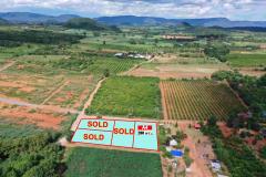 ขายที่ดินเขาใหญ่ 200 ตรว. 1 แปลงสุดท้าย วิวเขาล้อมรอบ ใกล้เซเว่นเพียง 10 กม. คุณโอ๋ 098-097-8715