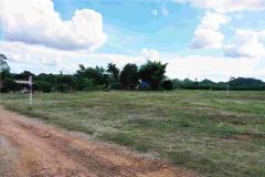 ขายที่ดินเขาใหญ่ 200 ตรว. 1 แปลงสุดท้าย วิวเขาล้อมรอบ ใกล้เซเว่นเพียง 10 กม. คุณโอ๋ 098-097-8715-202501301525561738225556131.jpg