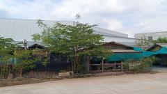 ขาย ที่ดิน เหมาะทำโรงงาน โกดัง ถนนกว้างมาก ที่ดิน ซอยเทียนทะเล 24 3 งาน 10 ตรว-202501310907021738289222545.jpg