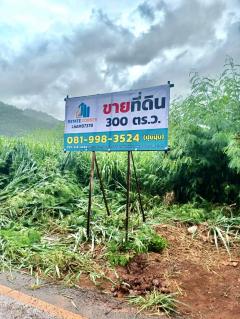 ขายที่ดินเปล่า เขาใหญ่ ทรัพย์สวย แปลงหัวมุม วิวภูเขา ติดคลับเฮ้าส์เขาใหญ่พูวิลล่า