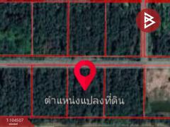ขายที่ดินเปล่า 3 แปลง แปลงละ 2 ไร่ องครักษ์ นครนายก-202501311249331738302573653.jpg