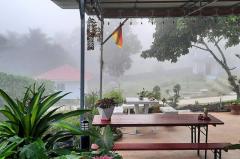 ขายด่วนบ้านพูลวิลล่าในที่ดินสวนเกษตร 6 ไร่ วิวภูเขา อ.หนองหญ้าปล้อง-202501311525081738311908516.jpg