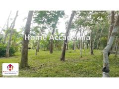 ขาย ที่ดิน หน้าสนามบินกระบี่ 3 ไร่ โฉนดครุฑแดง-202502011004401738379080812.jpg
