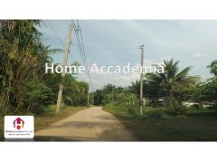ขาย ที่ดิน หน้าสนามบินกระบี่ 3 ไร่ โฉนดครุฑแดง-202502011005021738379102970.jpg