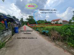 ขาย ที่ดิน ใกล้ตลาดนัดเซฟวัน ซอยโนนไม้แดง 5 อ.เมือง จ.นครราชสีมา เนื้อที่ 1 งาน 83 ตรว ถมแล้วสูงกว่าถนน 1 ม. ฟรีโอน-202502031506491738570009699.jpg