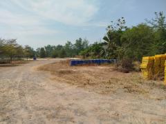 ขาย ที่ดิน อ.เมืองสมุทรสงคราม 80 ตรว ใกล้ถนนพระราม 2 เหมาะสร้างที่อยู่อาศัย-202502032305211738598721468.jpg