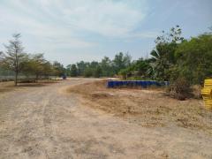 ขาย ที่ดิน อ.เมืองสมุทรสงคราม 80 ตรว ใกล้ถนนพระราม 2 เหมาะสร้างที่อยู่อาศัย-202502032305221738598722188.jpg
