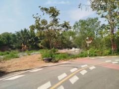 ขาย ที่ดิน อ.เมืองสมุทรสงคราม 80 ตรว ใกล้ถนนพระราม 2 เหมาะสร้างที่อยู่อาศัย-202502032305221738598722905.jpg