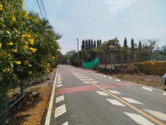 ขาย ที่ดิน อ.เมืองสมุทรสงคราม 80 ตรว ใกล้ถนนพระราม 2 เหมาะสร้างที่อยู่อาศัย-202502032305241738598724354.jpg