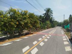 ขาย ที่ดิน อ.เมืองสมุทรสงคราม 80 ตรว ใกล้ถนนพระราม 2 เหมาะสร้างที่อยู่อาศัย-202502032305251738598725101.jpg