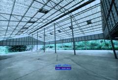 ขายโกดังสินค้าขนาดใหญ่ 2 โกดังพร้อมออฟฟิศ อ.เมือง - จ.ราชบุรี -202502041424461738653886672.jpg