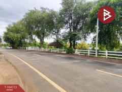 ขายที่ดินทำเลดี เนื้อที่ 2 งาน 40.6 ตร.วา บ้านยาง นครปฐม-202502041457371738655857630.jpg