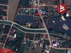 ขายที่ดินทำเลดี เนื้อที่ 2 งาน 40.6 ตร.วา บ้านยาง นครปฐม-202502041457381738655858401.jpg