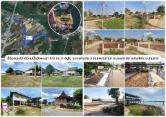 L-112 : ที่ดินถมแล้ว 613 ตร.วา ริมแม่น้ำเจ้าพระยา ซ.ชลประทาน (วัดโบสถ์) บางกระบือ สามโคก ปทุมธานี-202502050111461738692706291.jpg