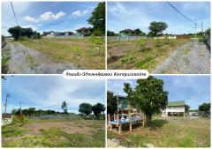 L-112 : ที่ดินถมแล้ว 613 ตร.วา ริมแม่น้ำเจ้าพระยา ซ.ชลประทาน (วัดโบสถ์) บางกระบือ สามโคก ปทุมธานี-202502050111481738692708991.jpg
