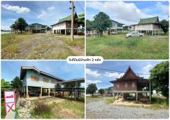 L-112 : ที่ดินถมแล้ว 613 ตร.วา ริมแม่น้ำเจ้าพระยา ซ.ชลประทาน (วัดโบสถ์) บางกระบือ สามโคก ปทุมธานี-202502050111501738692710546.jpg