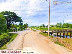 ที่ดินสามชุก 200 ตร.ว. สุพรรณบุรี ใกล้วัดสระพลอย-202502051216311738732591632.jpg