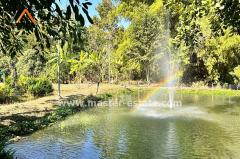 บ้านพักตากอากาศหรู ท่ามกลางธรรมชาติ บนเนื้อที่ 4 ไร่ ตกแต่งพร้อมเฟอร์ฯหรูอย่างดี พร้อมสวนผลไม้รอบบ้าน + ไม้พะยูง 100 ต้น วิวทิวเขา อากาศดีมาก จ.ลพบุรี-202502051513581738743238536.jpg