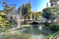 บ้านพักตากอากาศหรู ท่ามกลางธรรมชาติ บนเนื้อที่ 4 ไร่ ตกแต่งพร้อมเฟอร์ฯหรูอย่างดี พร้อมสวนผลไม้รอบบ้าน + ไม้พะยูง 100 ต้น วิวทิวเขา อากาศดีมาก จ.ลพบุรี-202502051513591738743239213.jpg