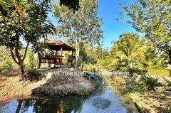 บ้านพักตากอากาศหรู ท่ามกลางธรรมชาติ บนเนื้อที่ 4 ไร่ ตกแต่งพร้อมเฟอร์ฯหรูอย่างดี พร้อมสวนผลไม้รอบบ้าน + ไม้พะยูง 100 ต้น วิวทิวเขา อากาศดีมาก จ.ลพบุรี-202502051514001738743240577.jpg