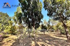 บ้านพักตากอากาศหรู ท่ามกลางธรรมชาติ บนเนื้อที่ 4 ไร่ ตกแต่งพร้อมเฟอร์ฯหรูอย่างดี พร้อมสวนผลไม้รอบบ้าน + ไม้พะยูง 100 ต้น วิวทิวเขา อากาศดีมาก จ.ลพบุรี-202502051514041738743244114.jpg