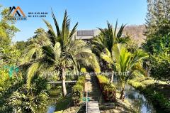 บ้านพักตากอากาศหรู ท่ามกลางธรรมชาติ บนเนื้อที่ 4 ไร่ ตกแต่งพร้อมเฟอร์ฯหรูอย่างดี พร้อมสวนผลไม้รอบบ้าน + ไม้พะยูง 100 ต้น วิวทิวเขา อากาศดีมาก จ.ลพบุรี-202502051514421738743282375.jpg