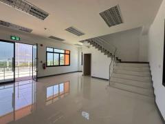 ให้เช่าโรงงานพื้นที่สีม่วงสร้างใหม่ โกดังสร้างใหม่ คลังสินค้า ถนนบางนาตราด กม 23 บางนา กม 19  เทพารักษ์ บางเพรียง วัดลาดวาย พื้นที่ขนาด 10,000 ตารางเมตร-202502052052251738763545150.jpg