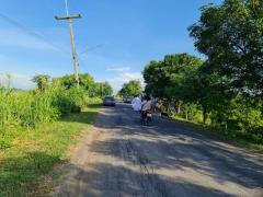 เงื่อนไขพิเศษปี 2568 ทรัพย์อสิงห์หา ขายที่ดิน 4ไร่เศษ ติดถนนคอนกรีต ต.มหาราช อ.มหาราช จ.อยุธยา