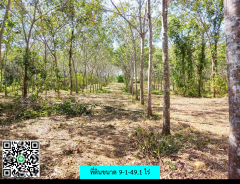 ขายที่ดินภูเก็ตเหมาะสำหรับการลงทุน! ใกล้สนามบินภูเก็ตเพียง 15 นาที-202502071906121738929972190.png