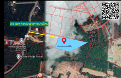 ขายที่ดินภูเก็ตเหมาะสำหรับการลงทุน! ใกล้สนามบินภูเก็ตเพียง 15 นาที-202502071906131738929973037.png