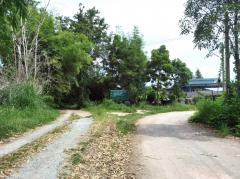 ขาย ที่ดิน ME331 แปลงเล็ก ทำเลดี ราคาถูก รูปแปลงสวย หนองบอนแดง บ้านบึง ชลบุรี . 1 ไร่ ระยะถนนสาธารณะกว้าง 8 m ใกล้โลตัส บ้านบึง เพียง 9 Km-202502071953431738932823687.jpg